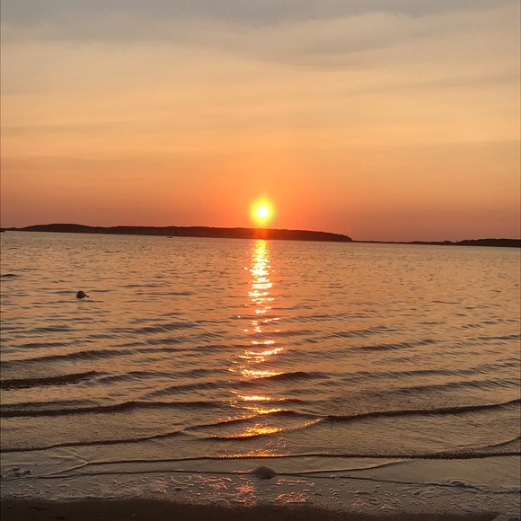 Meet your Posher, Liz - Picture 1 of 1